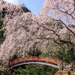 笠木渓谷のフリー写真素材