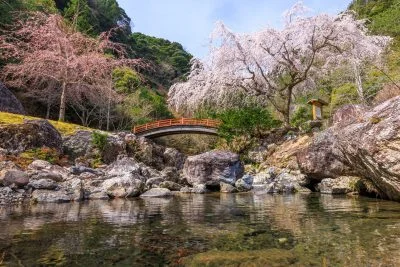 無料壁紙 笠木川の清流と忠五郎桜。PCとデスクトップ壁紙に最適な4K高画質の無料壁紙。三重県大紀町の笠木渓谷で撮影したフリー写真素材