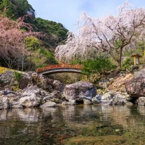 無料壁紙 笠木川の清流と忠五郎桜。PCとデスクトップ壁紙に最適な4K高画質の無料壁紙。三重県大紀町の笠木渓谷で撮影したフリー写真素材