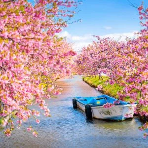 無料壁紙 絵になる船。PCとデスクトップ壁紙に最適な4K高画質の無料壁紙。三重県松阪市の笠松河津桜ロードで撮影したフリー写真素材