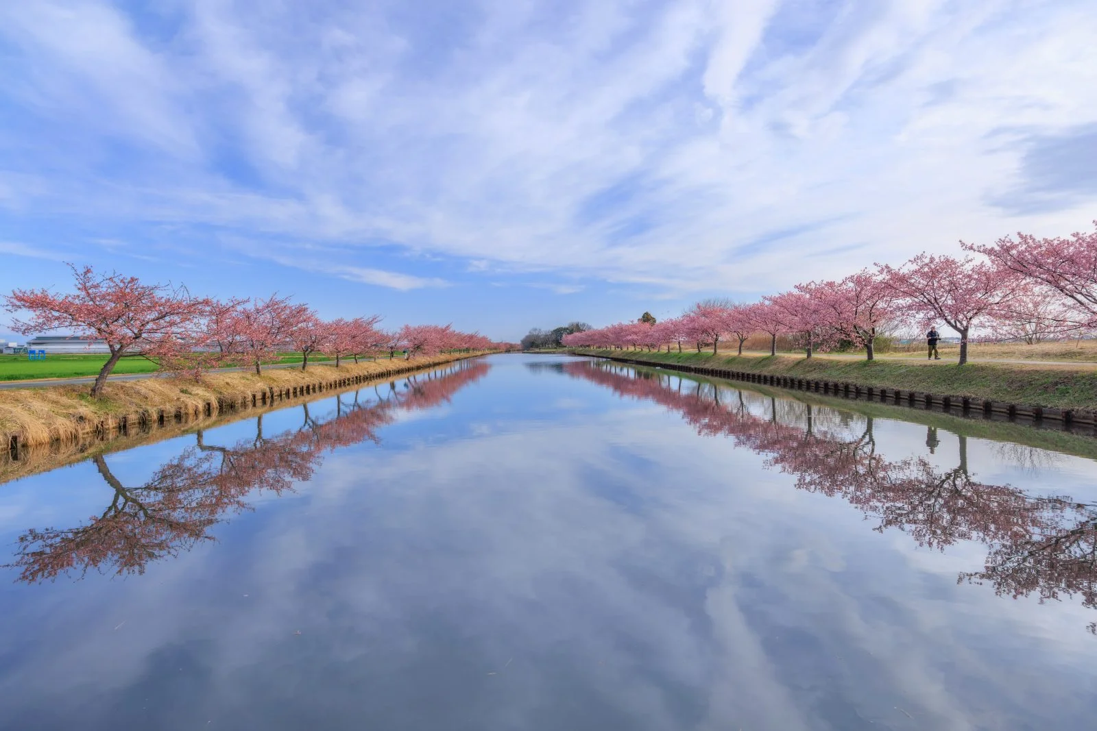 無料壁紙 雲も映るリフレクション。PCとデスクトップ壁紙に最適な4K高画質の無料壁紙。三重県松阪市の笠松河津桜ロードで撮影したフリー写真素材