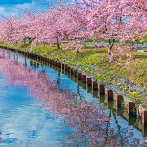 無料壁紙 青空と雲が映る水路。PCとデスクトップ壁紙に最適な4K高画質の無料壁紙。三重県松阪市の笠松河津桜ロードで撮影したフリー写真素材