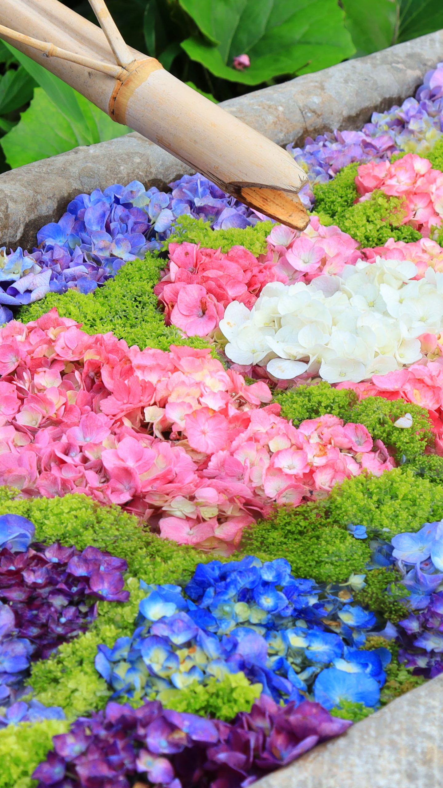 紫陽花の花手水(三重県津市・かざはやの里)