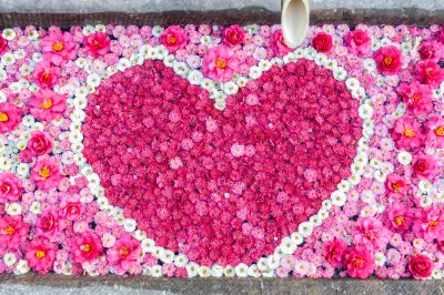 無料壁紙 可愛すぎる梅の花手水。PCとデスクトップ壁紙に最適な4K高画質の無料壁紙。三重県津市のかざはやの里で撮影したフリー写真素材