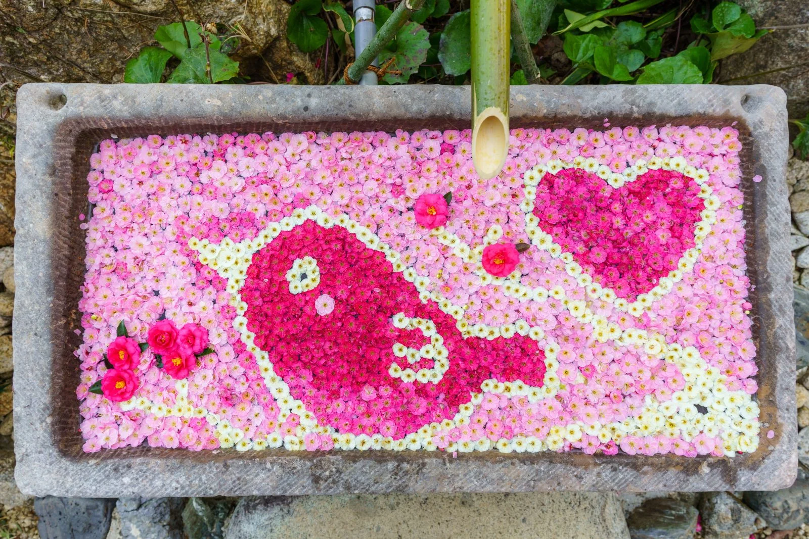 無料壁紙 梅とメジロの花手水。PCとデスクトップ壁紙に最適な4K高画質の無料壁紙。三重県津市のかざはやの里で撮影したフリー写真素材