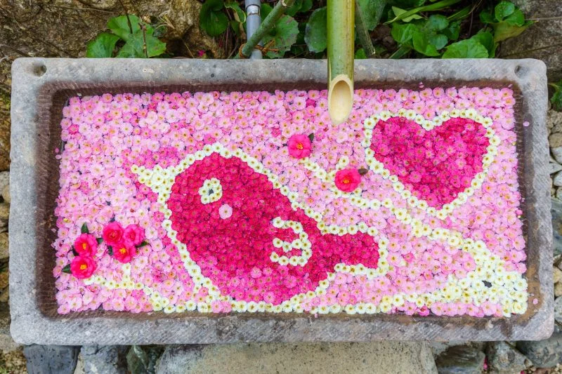 無料壁紙 梅とメジロの花手水。PCとデスクトップ壁紙に最適な4K高画質の無料壁紙。三重県津市のかざはやの里で撮影したフリー写真素材