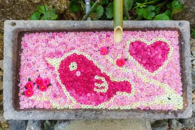 無料壁紙 梅とメジロの花手水。PCとデスクトップ壁紙に最適な4K高画質の無料壁紙。三重県津市のかざはやの里で撮影したフリー写真素材