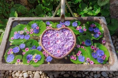 無料壁紙 藤の花手水2024。PCとデスクトップ壁紙に最適な4K高画質の無料壁紙。三重県津市のかざはやの里で撮影したフリー写真素材