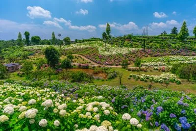 無料壁紙 丘の上から眺める津ウェーブと恋のウェーブ。PCとデスクトップ壁紙に最適な4K高画質の無料壁紙。三重県津市のかざはやの里で撮影したフリー写真素材