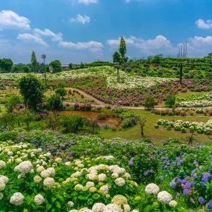 無料壁紙 丘の上から眺める津ウェーブと恋のウェーブ。PCとデスクトップ壁紙に最適な4K高画質の無料壁紙。三重県津市のかざはやの里で撮影したフリー写真素材