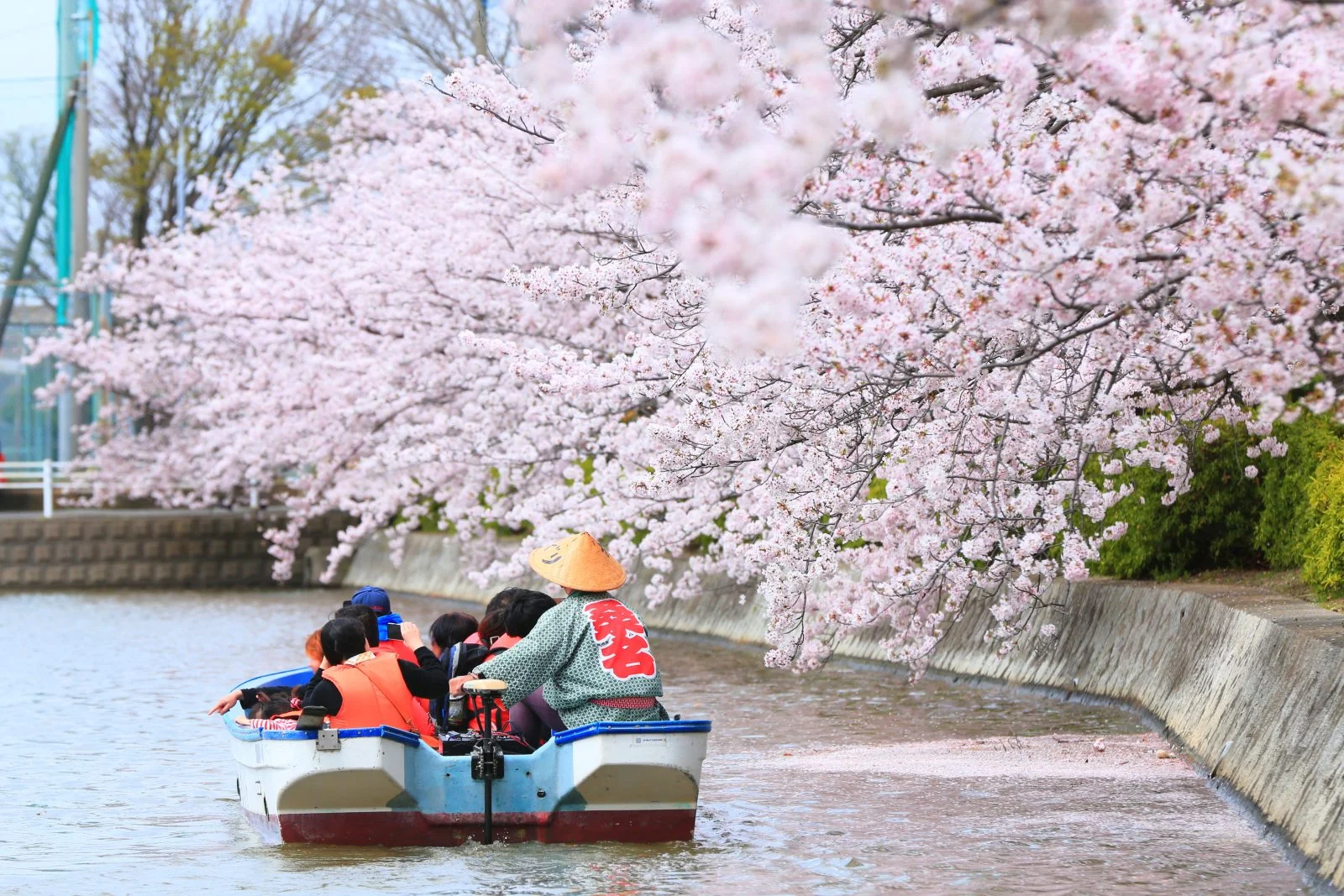 無料壁紙 船でお花見。PCとデスクトップ壁紙に最適な4K高画質の無料壁紙。三重県桑名市の九華公園で撮影したフリー写真素材