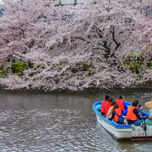 九華公園のフリー写真素材