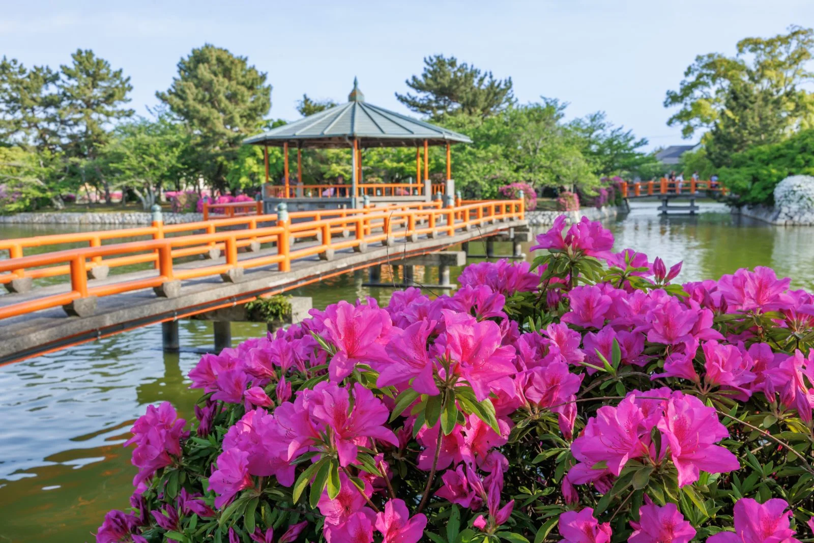 無料壁紙 ツツジと水上の東屋。PCとデスクトップ壁紙に最適な4K高画質の無料壁紙。三重県桑名市の九華公園で撮影したフリー写真素材