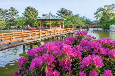 無料壁紙 ツツジと水上の東屋。PCとデスクトップ壁紙に最適な4K高画質の無料壁紙。三重県桑名市の九華公園で撮影したフリー写真素材