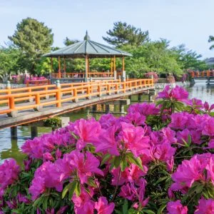 無料壁紙 ツツジと水上の東屋。PCとデスクトップ壁紙に最適な4K高画質の無料壁紙。三重県桑名市の九華公園で撮影したフリー写真素材