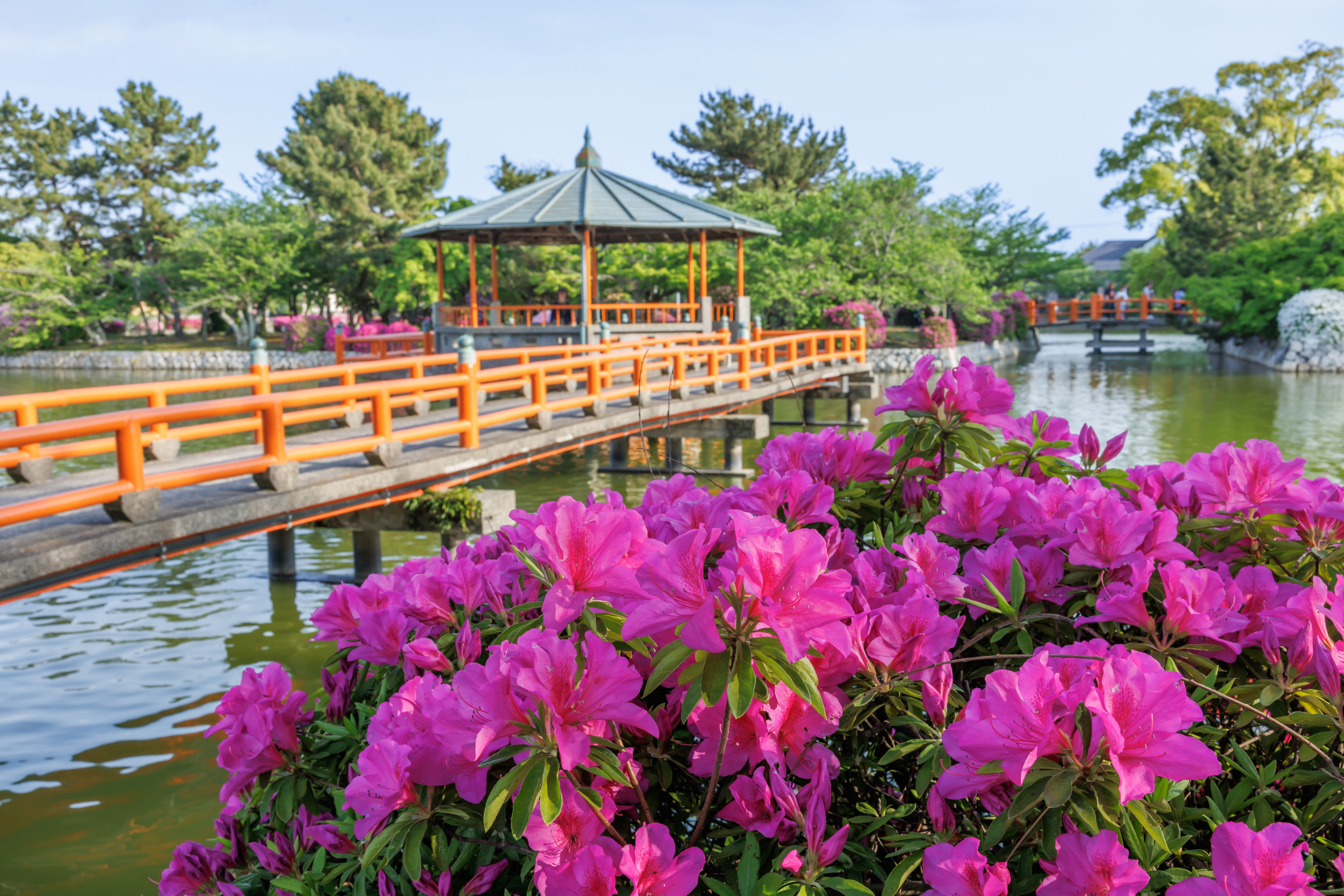 九華公園のフリー写真素材「ツツジと水上の東屋」 | 三重フォトギャラリー
