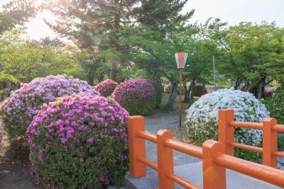 無料壁紙 赤い橋の入口にある紅白のツツジ。PCとデスクトップ壁紙に最適な4K高画質の無料壁紙。三重県桑名市の九華公園で撮影したフリー写真素材