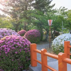 無料壁紙 赤い橋の入口にある紅白のツツジ。PCとデスクトップ壁紙に最適な4K高画質の無料壁紙。三重県桑名市の九華公園で撮影したフリー写真素材