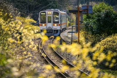 無料壁紙 ミツマタに囲まれる比津駅。PCとデスクトップ壁紙に最適な4K高画質の無料壁紙。三重県鉄道の名松線で撮影したフリー写真素材