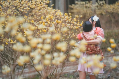 無料壁紙 ミツマタの森を干渉する親子。PCとデスクトップ壁紙に最適な4K高画質の無料壁紙。三重県伊賀市のミツマタの森で撮影したフリー写真素材