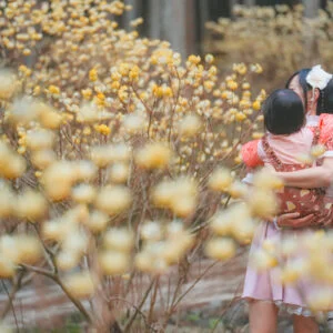 無料壁紙 ミツマタの森を干渉する親子。PCとデスクトップ壁紙に最適な4K高画質の無料壁紙。三重県伊賀市のミツマタの森で撮影したフリー写真素材