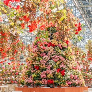 無料壁紙 ベゴニアガーデンの花タワー。PCとデスクトップ壁紙に最適な4K高画質の無料壁紙。三重県桑名市のなばなの里で撮影したフリー写真素材