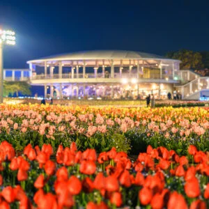 無料壁紙 花ひろばのチューリップと展望台。PCとデスクトップ壁紙に最適な4K高画質の無料壁紙。三重県桑名市のなばなの里で撮影したフリー写真素材