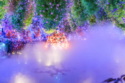 無料壁紙 ベゴニアガーデンの春のライトアップ演出。PCとデスクトップ壁紙に最適な4K高画質の無料壁紙。三重県桑名市のなばなの里で撮影したフリー写真素材