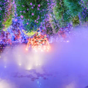 無料壁紙 ベゴニアガーデンの春のライトアップ演出。PCとデスクトップ壁紙に最適な4K高画質の無料壁紙。三重県桑名市のなばなの里で撮影したフリー写真素材