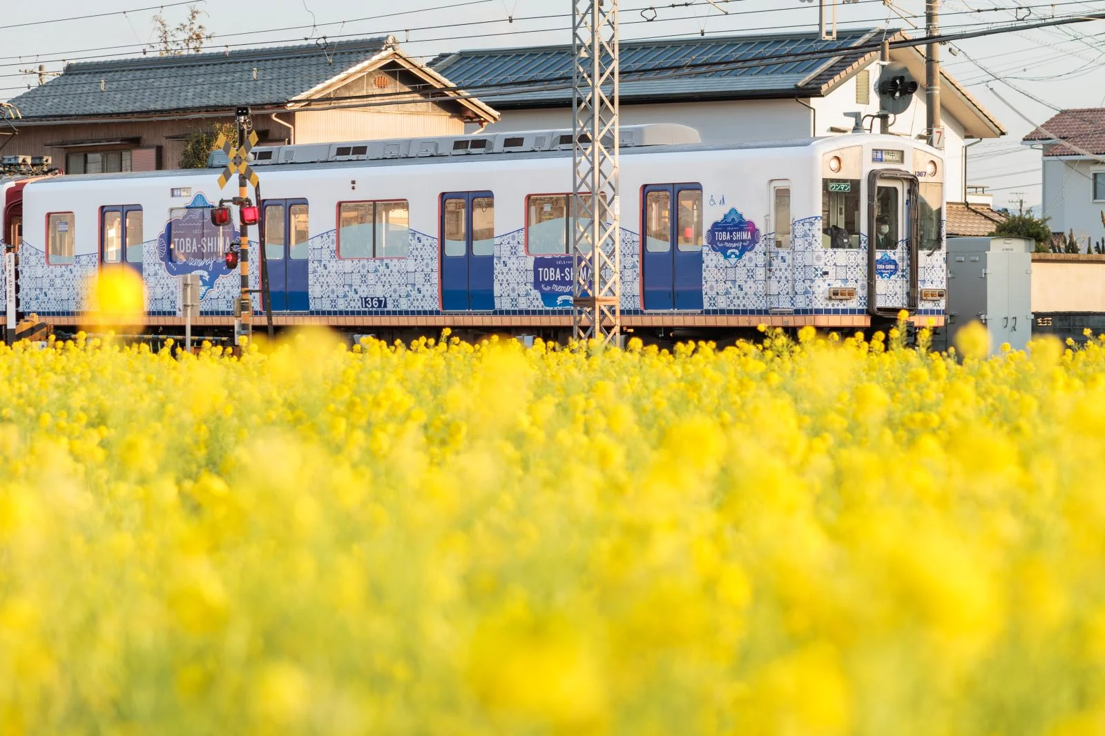 無料壁紙 とばしまメモリー「なみの章」車両。PCとデスクトップ壁紙に最適な4K高画質の無料壁紙。三重県明和町の斎宮の菜の花畑で撮影したフリー写真素材