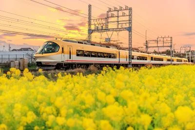 無料壁紙 菜の花畑を走る伊勢志摩ライナー。PCとデスクトップ壁紙に最適な4K高画質の無料壁紙。三重県明和町の斎宮の菜の花畑で撮影したフリー写真素材