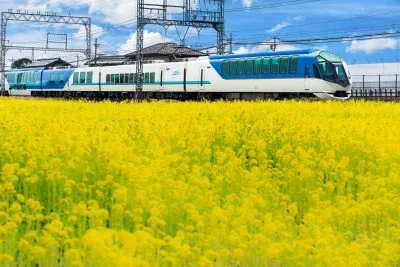 無料壁紙 近鉄のポスターみたいな構図。PCとデスクトップ壁紙に最適な4K高画質の無料壁紙。三重県明和町の斎宮の菜の花畑で撮影したフリー写真素材