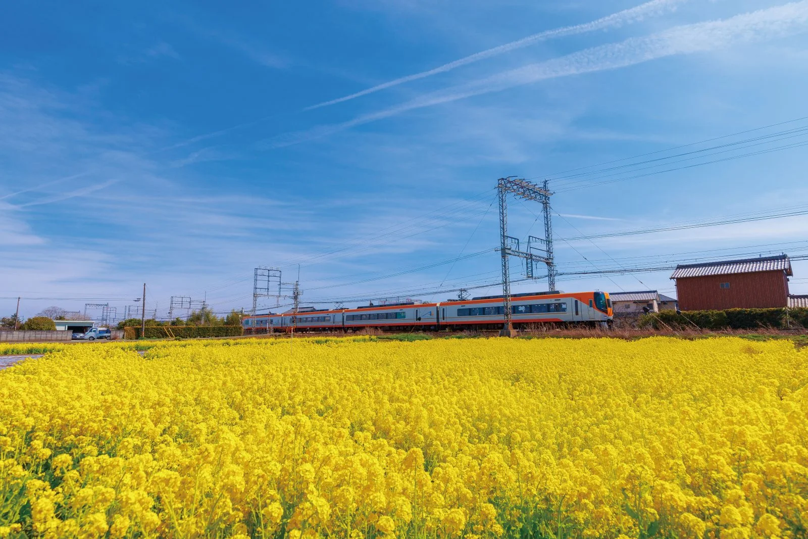 無料壁紙 青と黄色のシンフォニー。PCとデスクトップ壁紙に最適な4K高画質の無料壁紙。三重県明和町の斎宮の菜の花畑で撮影したフリー写真素材