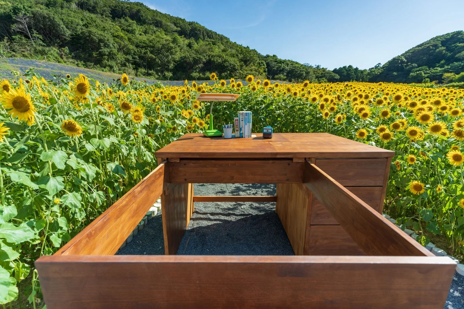 無料壁紙 タイムマシンへジャンプ！。PCとデスクトップ壁紙に最適な4K高画質の無料壁紙。三重県志摩市の志摩市観光農園で撮影したフリー写真素材