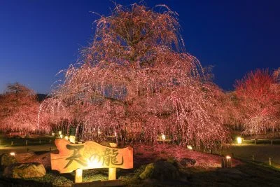 無料壁紙 夕闇と天の龍。PCとデスクトップ壁紙に最適な4K高画質の無料壁紙。三重県鈴鹿市の鈴鹿の森庭園で撮影したフリー写真素材