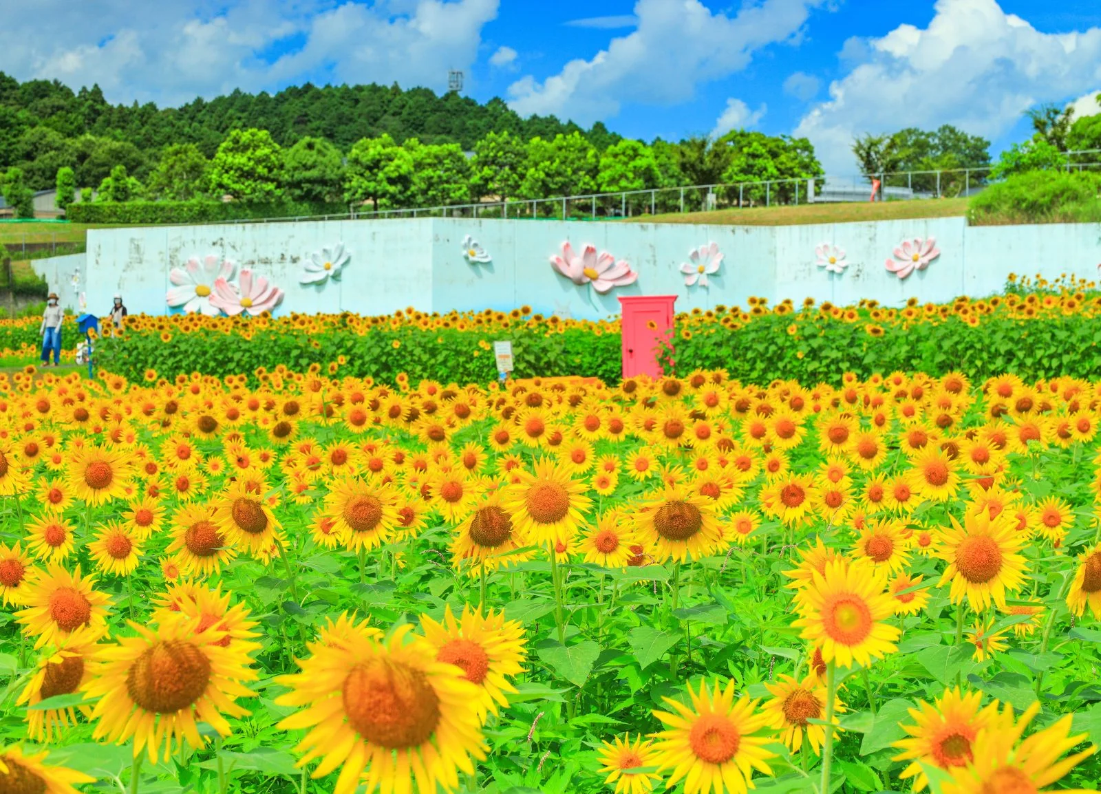 無料壁紙 幸せを呼ぶどこでもドア。PCとデスクトップ壁紙に最適な4K高画質の無料壁紙。三重県津市のとことめの里 一志で撮影したフリー写真素材