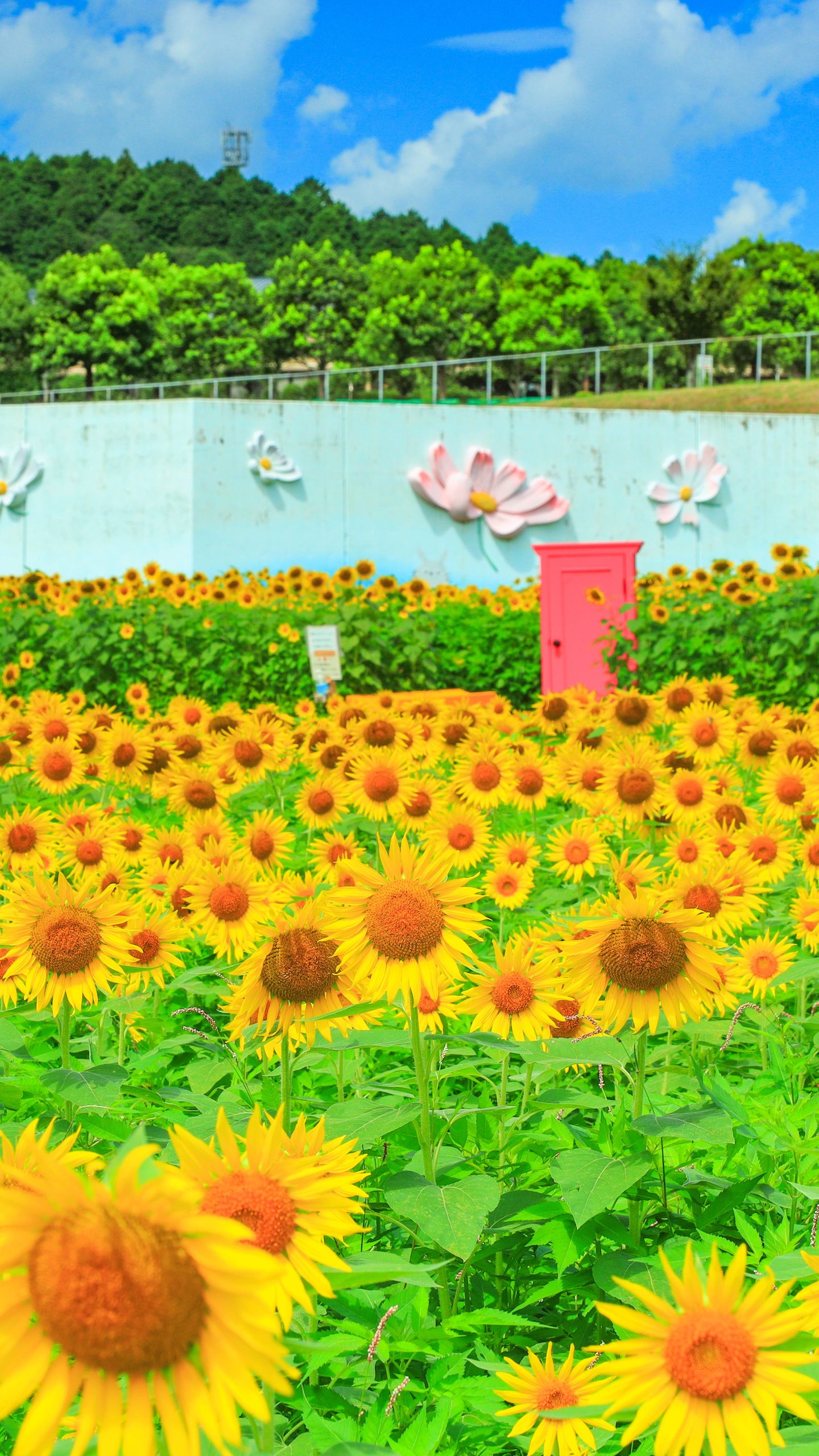 幸せを呼ぶどこでもドア(三重県津市・とことめの里 一志)
