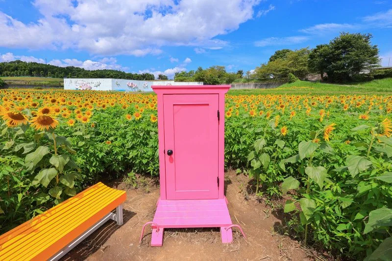 無料壁紙 はい！どこでもドア〜。PCとデスクトップ壁紙に最適な4K高画質の無料壁紙。三重県津市のとことめの里 一志で撮影したフリー写真素材