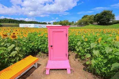 無料壁紙 はい！どこでもドア〜。PCとデスクトップ壁紙に最適な4K高画質の無料壁紙。三重県津市のとことめの里 一志で撮影したフリー写真素材