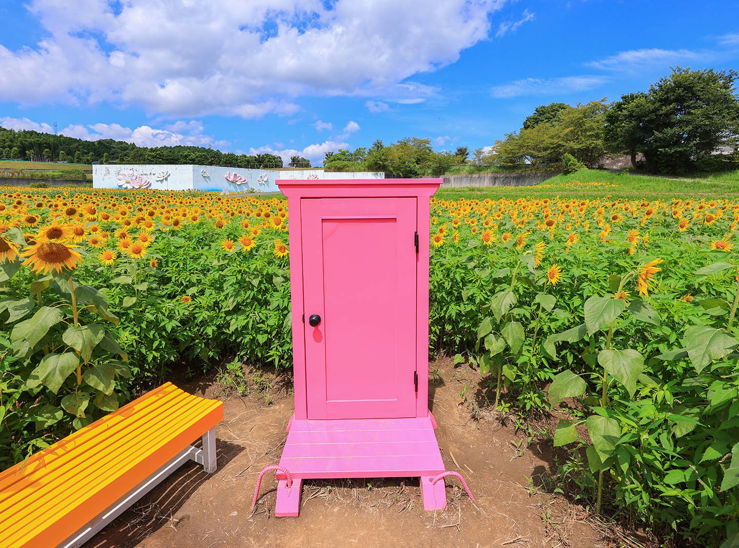 はい!どこでもドア〜(三重県津市・とことめの里 一志)