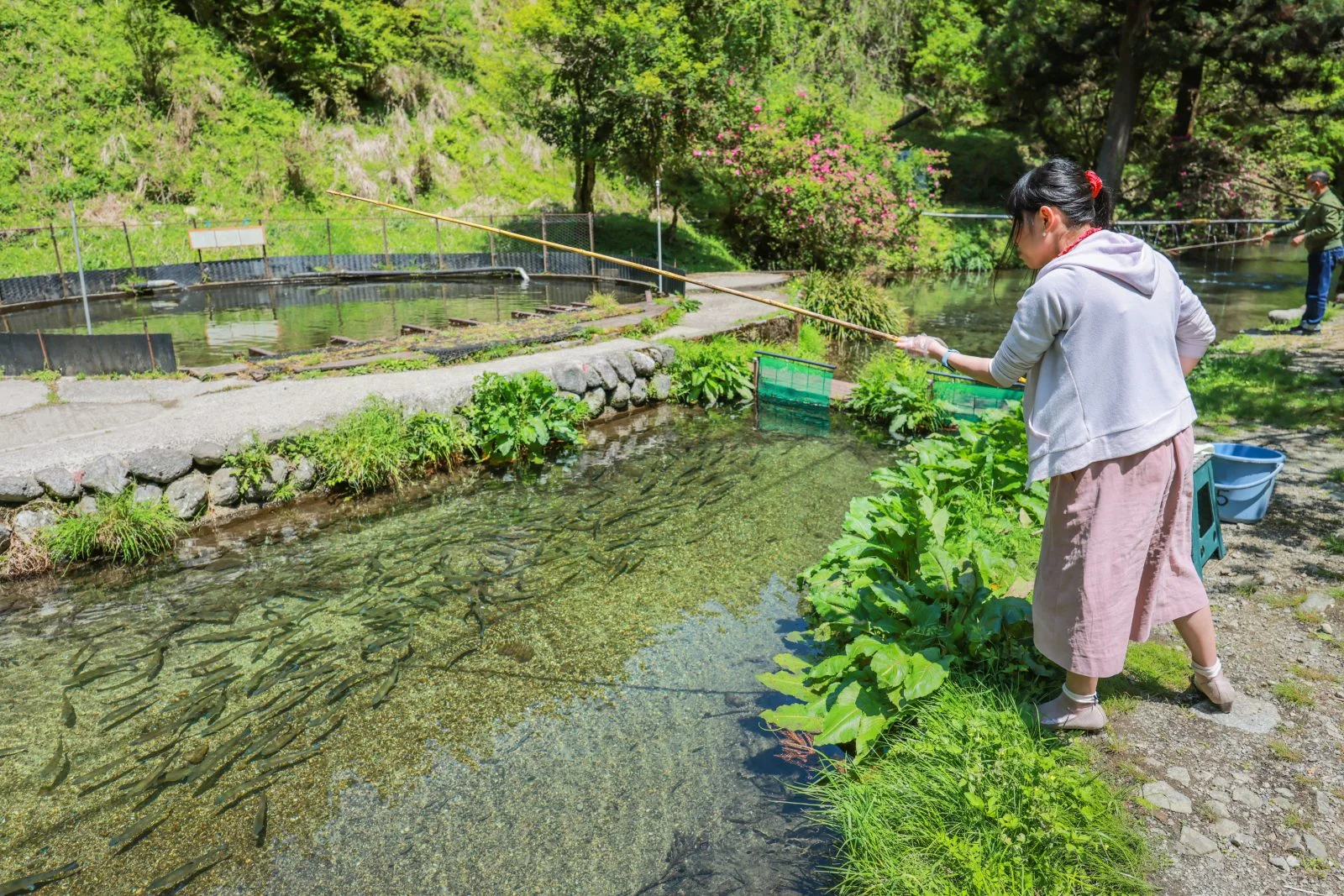 無料壁紙 人工渓流の釣り堀。PCとデスクトップ壁紙に最適な4K高画質の無料壁紙。三重県津市の大吉あまごセンターで撮影したフリー写真素材