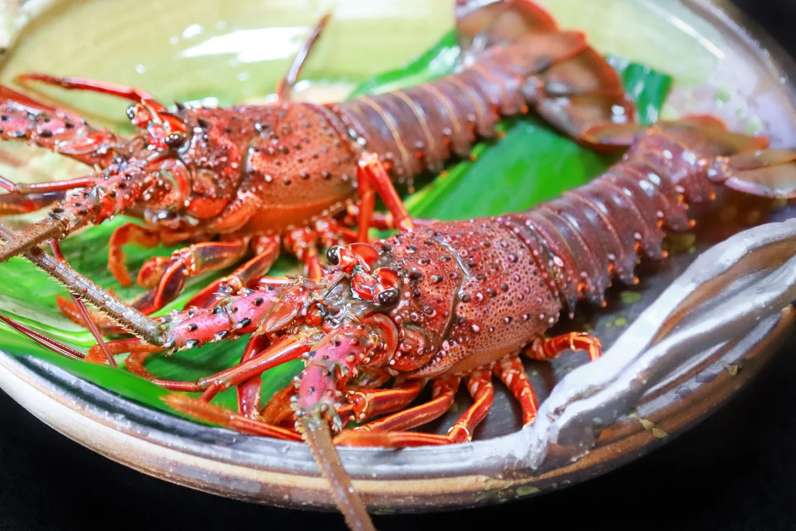 無料壁紙 ２匹の伊勢海老。PCとデスクトップ壁紙に最適な4K高画質の無料壁紙。三重県三重グルメの伊勢海老で撮影したフリー写真素材