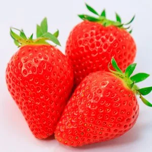 無料壁紙 並んだイチゴ。PCとデスクトップ壁紙に最適な4K高画質の無料壁紙。三重県三重グルメのかおり野で撮影したフリー写真素材