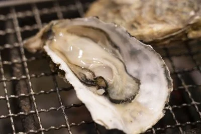 無料壁紙 鳥羽浦村の焼かき。PCとデスクトップ壁紙に最適な4K高画質の無料壁紙。三重県鳥羽市のパールロードで撮影したフリー写真素材