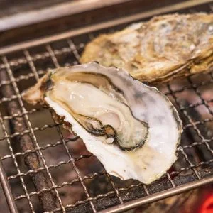 鳥羽浦村の牡蠣のフリー素材・壁紙