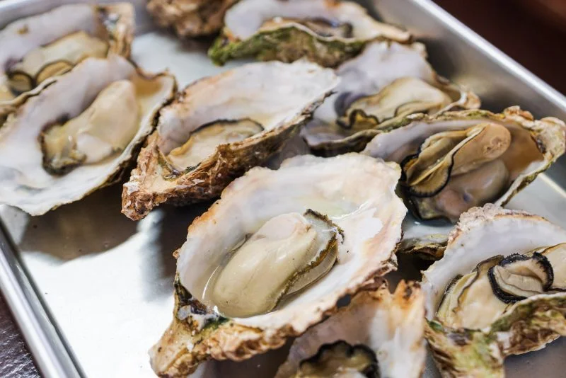 無料壁紙 浦村の牡蠣が勢揃い。PCとデスクトップ壁紙に最適な4K高画質の無料壁紙。三重県三重グルメの鳥羽浦村の牡蠣で撮影したフリー写真素材