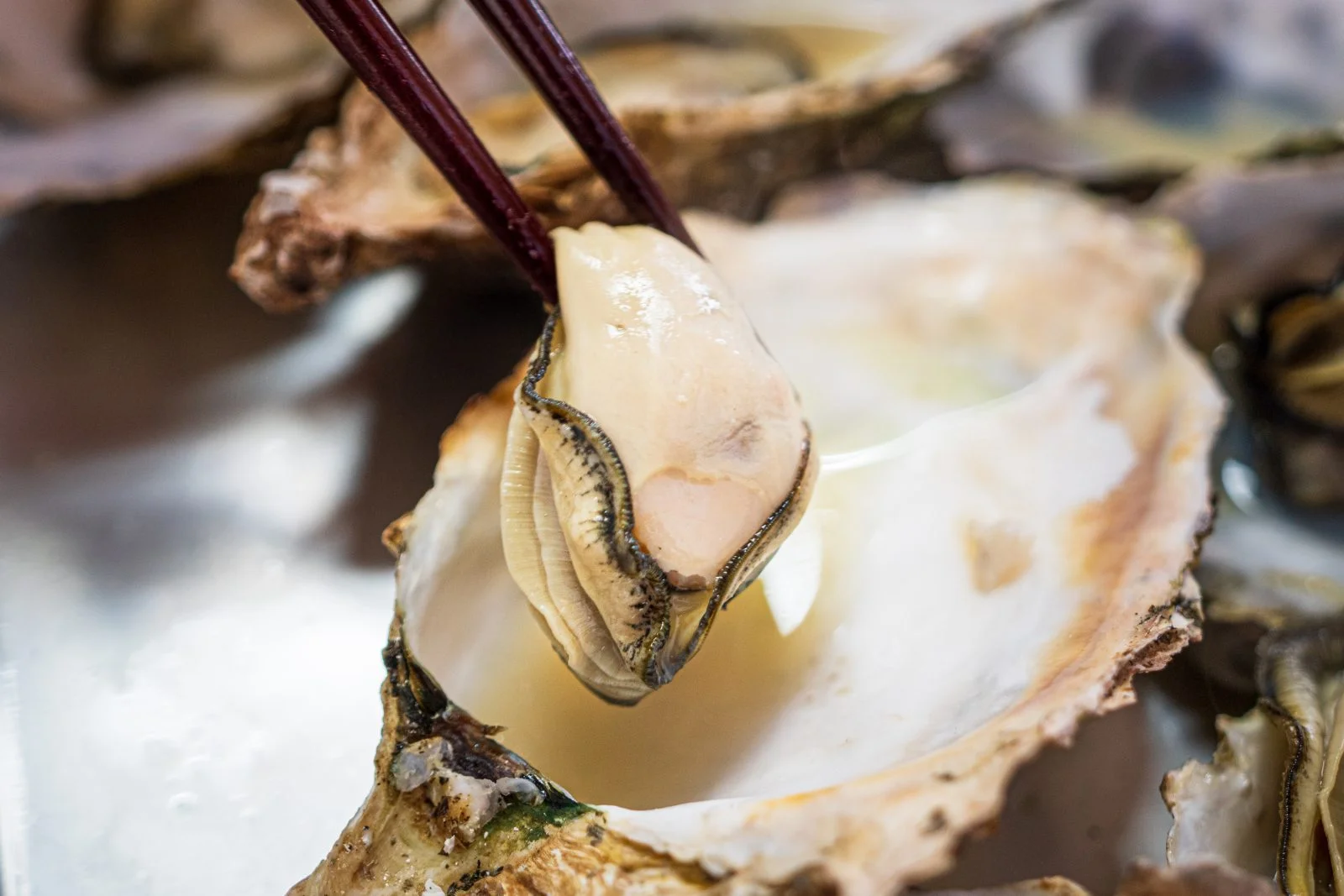 無料壁紙 牡蠣の身を箸ですくう。PCとデスクトップ壁紙に最適な4K高画質の無料壁紙。三重県三重グルメの鳥羽浦村の牡蠣で撮影したフリー写真素材
