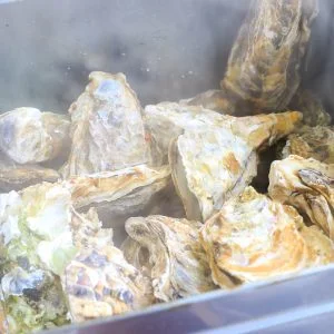 無料壁紙 牡蠣のカンカン焼き（蒸し牡蠣）。PCとデスクトップ壁紙に最適な4K高画質の無料壁紙。三重県三重グルメの鳥羽浦村の牡蠣で撮影したフリー写真素材