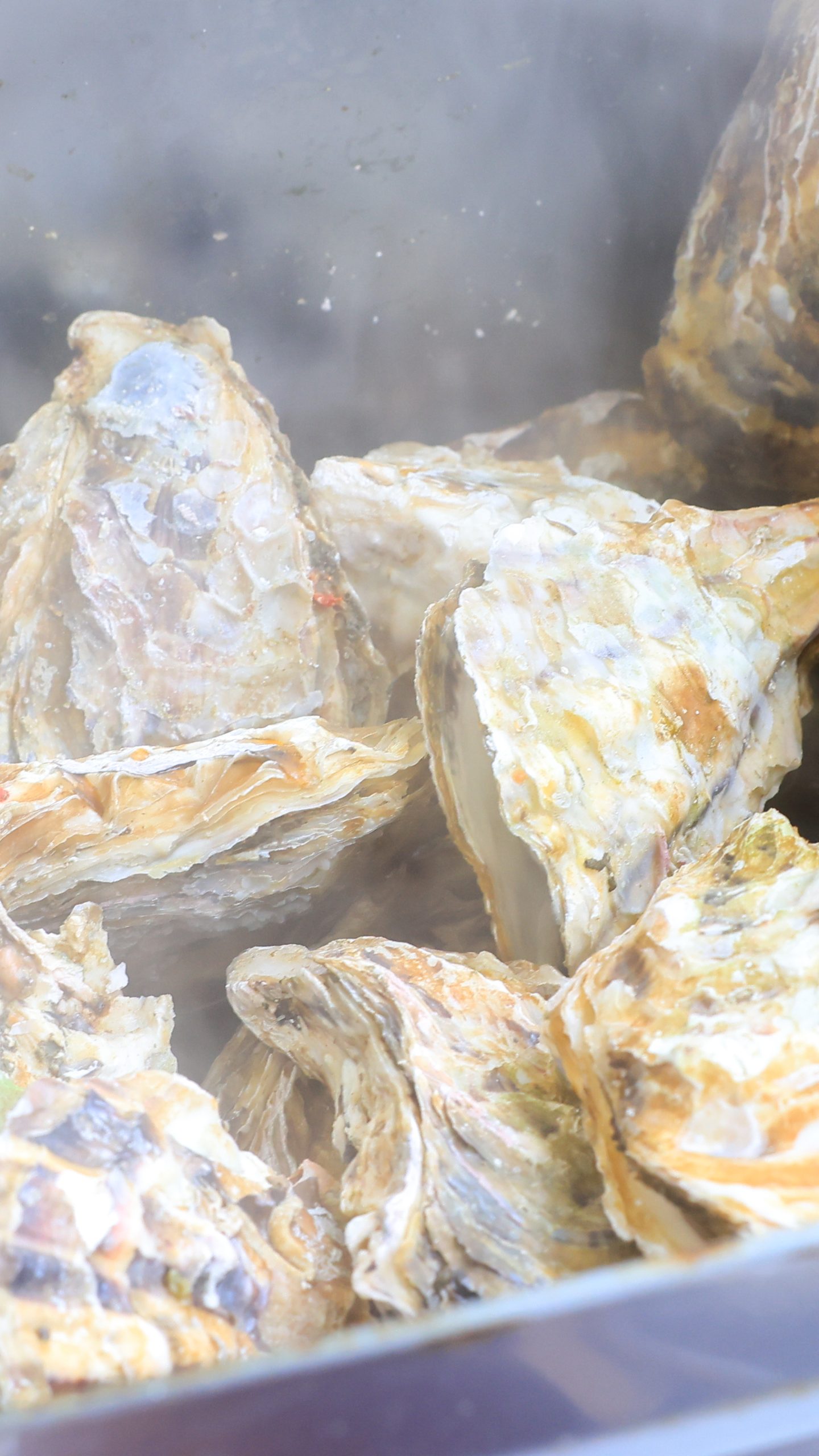 牡蠣のカンカン焼き(蒸し牡蠣)(三重県三重グルメ・鳥羽浦村の牡蠣)