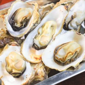 無料壁紙 焼き牡蠣がトレーに並ぶ光景。PCとデスクトップ壁紙に最適な4K高画質の無料壁紙。三重県三重グルメの鳥羽浦村の牡蠣で撮影したフリー写真素材